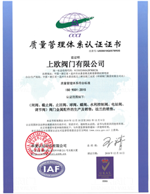 ISO9001：2015質(zhì)量管理體系（中文）