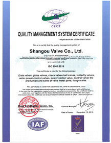ISO9001：2015質(zhì)量管理體系（英文）